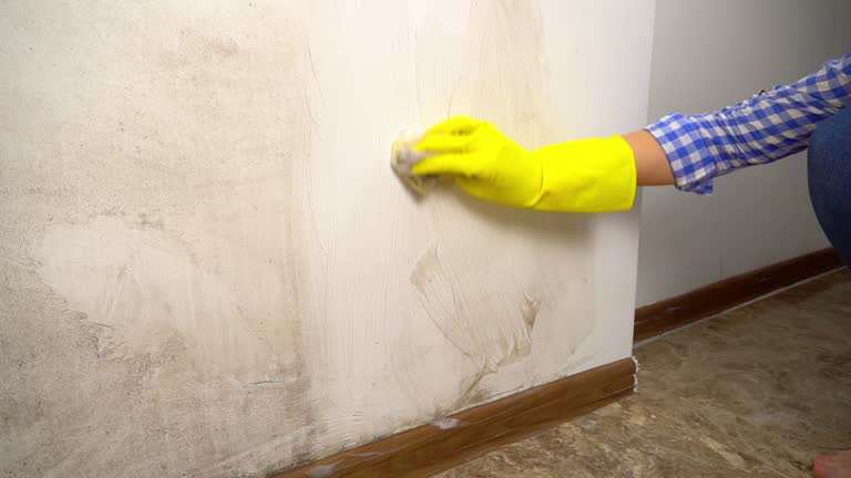 Best Real Estate Mold Inspection  in Mountain Brook, AL